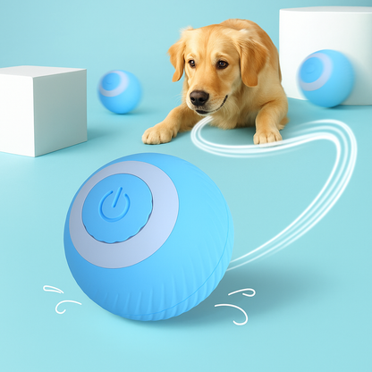 Juguete Pelota Bola Automatica Para Tus mascotas