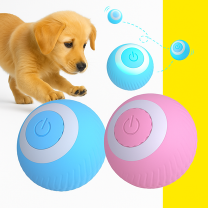 Juguete Pelota Bola Automatica Para Tus mascotas